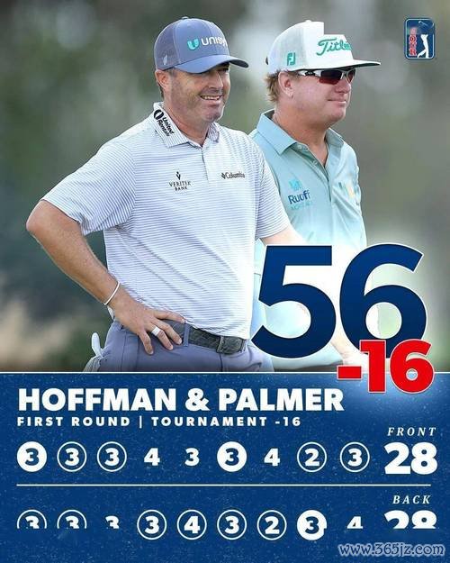 RSM精英赛道格-金60杆平纪录 与汤普森霍伊共同领先